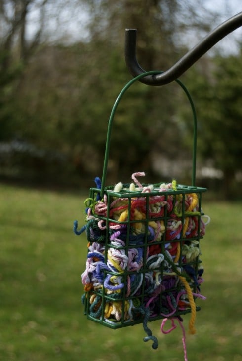 yarn scraps idea bird nest materials