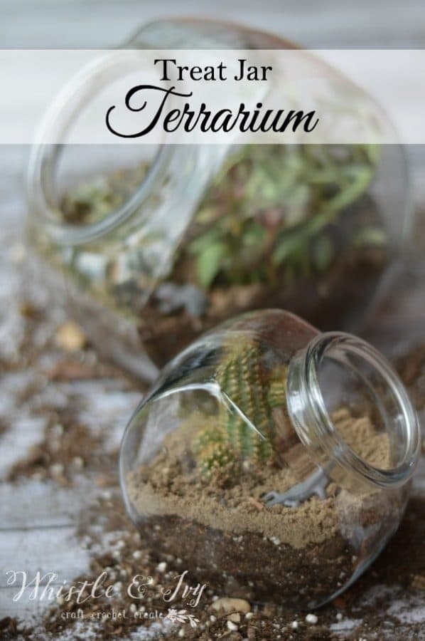 Candy Jar DIY Terrarium - Use a thrifted or old candy jar to make a beautiful terrarium