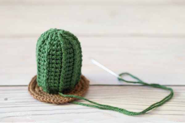 how to crochet a cactus pincushion 