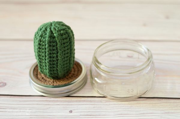 free crochet pattern cactus pincushion summer project 