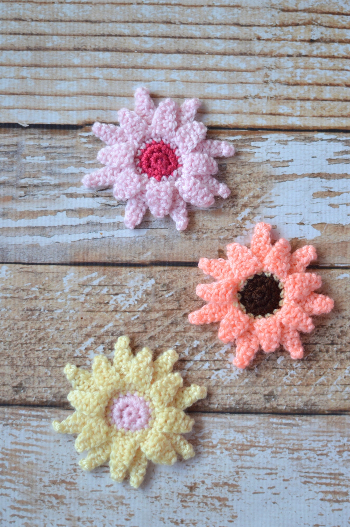 Crochet Gerbera Daisies – Free Crochet Pattern