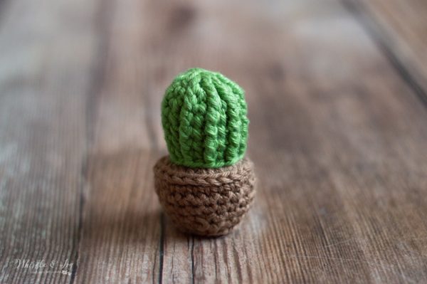 tiny crochet cactus crochet pattern 