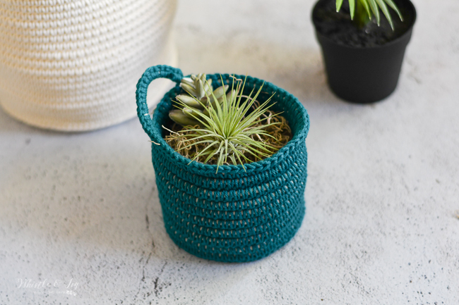 air plant ideas, small crochet basket, crochet with rope, crochet hanging basket crochet pattern 